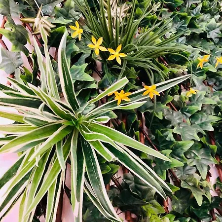 Jungle Hyper Centre Nîmes