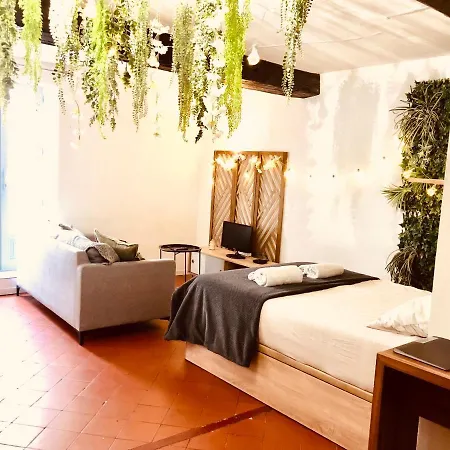 Διαμέρισμα Jungle Hyper Centre